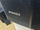 山水（SANSUI）M11家庭KTV音響 家庭影院組合套裝卡拉OK搭配功放點(diǎn)歌機K歌室內培訓學(xué)校舞臺專(zhuān)用設備 10吋音響 曬單實(shí)拍圖