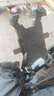 騎兵連（cavalry）電動(dòng)車(chē)手機架摩托車(chē)外賣(mài)騎手快遞秒鎖支架踏板導航騎行 后視鏡款 曬單實(shí)拍圖