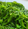 蓋世（Gaishi）蓋世 調味裙帶菜80g*7袋 酸甜解膩海白菜 海草海藻沙拉壽司 曬單實(shí)拍圖