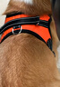 貝初眾狗繩牽引繩小中大型犬狗狗牽引繩柴犬遛狗繩狗狗背心式胸背帶狗鏈 【活力橙】防爆沖胸背帶+1.5m反光繩 M（建議約18-40斤寵物） 結實(shí)耐用 舒適不勒脖 曬單實(shí)拍圖