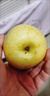 安徽正宗碭山梨青梨翠冠梨新鮮翠玉梨青皮蜜梨脆甜多汁無(wú)渣龍華 青皮梨帶箱5斤 曬單實(shí)拍圖