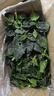 霜打菠菜趴地矮腳當季蔬菜河南趴地菠菜新鮮菠菜 霜打菠菜5斤 露天趴地菠菜現挖現發(fā) 曬單實(shí)拍圖