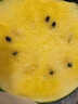 黃六爺正宗黃心特小鳳西瓜水果新鮮麒麟現摘冰淇淋西瓜當季整箱甜包郵 3-4斤【1-3個(gè)瓜】脆爽多汁 曬單實(shí)拍圖