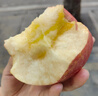 傾睦山西運城紅富士蘋(píng)果臨猗特產(chǎn)冰糖心丑蘋(píng)果現摘紅富士新鮮水果禮盒 5斤 精選果【單果75mm+】 曬單實(shí)拍圖