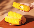 三胖蛋黃甜糯玉米228g 內蒙特產(chǎn) 真空包裝玉米棒 速食早餐 雜糧粗糧 曬單實(shí)拍圖