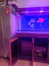 閩江大型新中式客廳家用落地魚(yú)缸水族箱辦公室招財免換水底濾龍魚(yú)缸 【4代】酸枝木 【4代大師款】150長(cháng)*60寬*163高送豪華套餐 曬單實(shí)拍圖
