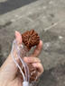 BJYL小尺寸文玩核桃女士精品小手捻把件磨盤(pán)宮燈蘋(píng)果園四座樓白獅子頭 【特價(jià)福利】練手核桃 曬單實(shí)拍圖