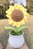 生喜朗手工編織向日葵花束盆栽百日誓師中高考禮物仿真花桌面裝飾小擺件 曬單實(shí)拍圖