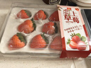 蒲戀大涼山紅顏奶油草莓【多地次日達】非丹東99草莓新鮮水果禮盒禮品 A+果園現摘【新鮮直發(fā)】 【高性?xún)r(jià)比】2盒優(yōu)選禮盒凈重500g 曬單實(shí)拍圖
