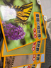 【一件包郵】童眼觀(guān)世界[4冊]鳥(niǎo)動(dòng)物恐龍昆蟲(chóng) 4-8歲兒童看圖識物幼兒園啟蒙益智早教繪本百科全套彩圖注音 曬單實(shí)拍圖