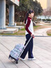 bolerbear萬(wàn)向輪中小學(xué)生通用書(shū)包拉桿架靜音背板初中男女孩手拉桿車(chē)可折疊 中號【底板33x26cm】 曬單實(shí)拍圖