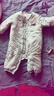戴維貝拉新生兒男寶爬服保暖冬裝女寶嬰兒衣服棉服加厚連體衣 曬單實(shí)拍圖