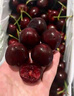 春公子進(jìn)口水果智利車(chē)厘子【JD多地次日達】櫻桃禮盒車(chē)厘子3J 5kg可選 4斤(凈重) 帶箱5斤【家庭裝】高端禮盒 【黑鉆級】3J 巨無(wú)霸 30-32mm 曬單實(shí)拍圖