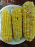 新鮮甜玉米水果玉米甜脆金銀玉米棒可生吃爆漿蔬菜營(yíng)養早餐代餐 新鮮黃金水果玉米5斤 曬單實(shí)拍圖