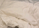 云瑾 全棉被子內膽套純棉紗布被芯保護套被芯包布套被胎套200x230cm 曬單實(shí)拍圖