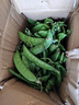 荷蘭豆新鮮蔬菜青豌豆甜脆豌豆苗四季豆扁豆當季時(shí)令新鮮蔬菜 新鮮荷蘭豆1斤【農家自種】 曬單實(shí)拍圖