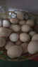 大牌同廠(chǎng)精選無(wú)抗生素鮮雞蛋溏心蛋谷物蛋早餐生鮮超市 精選無(wú)抗鮮雞蛋60枚裝 曬單實(shí)拍圖