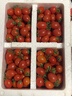 新鮮千禧圣女果小番茄現摘現發(fā)多汁水果適合孕婦食用 5斤 曬單實(shí)拍圖