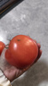 京地達栗貝諾山東普羅旺斯口感番茄凈重3斤單果90g+沙瓤西紅柿源頭直發(fā) 曬單實(shí)拍圖