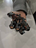 外骨骼機械爪機械手套爪子黑科技手鏈鎧甲戒指朋克風(fēng)骷髏手骨可調 外骨骼手鏈金色7602343 其他 曬單實(shí)拍圖