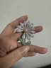 BJYL權志龍同款小雛菊太陽(yáng)花胸針男士高端時(shí)尚百搭別針衣服胸花配飾品 雛菊胸針-禮盒裝 曬單實(shí)拍圖