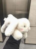 名創(chuàng  )優(yōu)品（MINISO）塔尼兔系列趴姿公仔毛絨玩具玩偶兔子娃娃抱枕生日禮物女 曬單實(shí)拍圖