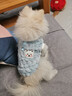 歡寵網(wǎng)寵物狗狗衣服貓咪貓小狗小貓泰迪比熊貓貓小型犬幼犬冬季保暖服飾 曬單實(shí)拍圖