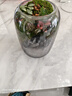 苔蘚微景觀(guān)辦公室diy桌面擺件禮物創(chuàng  )意造景生態(tài)瓶室內綠植盆栽 鹿影單景觀(guān)（養魚(yú)款）+木質(zhì)燈座 曬單實(shí)拍圖