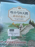 吹小號的天鵝注音版套裝3冊：奇妙夏令營(yíng)+天鵝路易斯+美好的春天 EB懷特經(jīng)典三部曲 曬單實(shí)拍圖