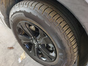 米其林（MICHELIN）汽車(chē)輪胎 235/65R17 108V 旅悅+ PRIMACY SUV+ 適配CR-V/豐田塞納 曬單實(shí)拍圖