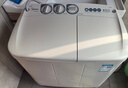 美的（Midea）半自動(dòng)雙桶洗衣機8公斤洗5.5kg脫水雙缸波輪老人簡(jiǎn)易操作品質(zhì)電機小巧不占地租房宿舍必備以舊換新 MP8DS136 雙缸 8kg 曬單實(shí)拍圖