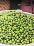 東北綠豆 可發(fā)芽打豆漿 綠豆糕餅餡烘焙原料五谷雜糧 精選綠豆500g*3 曬單實(shí)拍圖