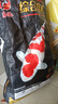 海豚錦鯉魚(yú)飼料中大顆粒育成色揚上浮型觀(guān)賞魚(yú)專(zhuān)用錦鯉魚(yú)糧大包裝魚(yú)食 綜合育成 20kg/中粒（均衡成長(cháng)） 曬單實(shí)拍圖