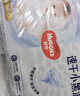好奇（Huggies）金裝拉拉褲XXL74(15kg以上)尿不濕【速干不易紅】 曬單實(shí)拍圖