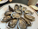 吉娜朵法國Gillardeau生蠔鮮活進(jìn)口冷鏈直達 生日送禮年貨海鮮禮盒刺身 單只平均73克至少24只N4 曬單實(shí)拍圖