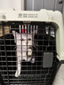 波奇多【國航標準】寵物航空箱貓咪籠子外出便攜式托運箱太空箱車(chē)載狗籠 曬單實(shí)拍圖