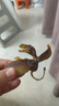 樂(lè )蓓富發(fā)聲恐龍玩具男孩仿真動(dòng)物模型霸王龍蛋軟膠兒童新年禮物生日1歲3 曬單實(shí)拍圖
