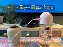 小狗usb加濕器 家用臥室桌面大霧量加濕器辦公室輕音母嬰幼兒空氣凈化加濕器車(chē)載usb充電便攜加濕器 曬單實(shí)拍圖