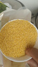 十月稻田 內蒙古黃小米 5斤 京東產(chǎn)品溯源 五谷雜糧 早餐煮粥 粗糧蒸飯 曬單實(shí)拍圖