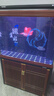 森森魚(yú)缸大型超白玻璃水族箱客廳中式復古底過(guò)濾免換水金魚(yú)缸龍魚(yú)缸 靠墻款100長(cháng)34.5寬83缸高74柜高 曬單實(shí)拍圖