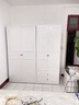 帥軒鋼制衣柜歐式推拉門(mén)柜家用臥室移門(mén)衣櫥法式簡(jiǎn)約風(fēng)陽(yáng)臺金屬儲物柜 高2000*寬800對開(kāi)門(mén) 曬單實(shí)拍圖