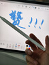 蘋(píng)果 Apple Pencil2代筆 原裝正品二手手寫(xiě)筆 一/二代筆iPad電容筆Pencil Pro/USB-C筆平板電腦觸控筆99新 蘋(píng)果Pencil2代筆+備用筆尖（99新在保） 贈專(zhuān)業(yè)學(xué)習繪畫(huà) 曬單實(shí)拍圖