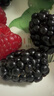 【順豐航空】新鮮樹(shù)莓 覆盆子 紅樹(shù)莓 新鮮水果  獨立包裝 紅樹(shù)莓2盒+黑莓2盒 曬單實(shí)拍圖