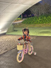 奧仕龍x迪士尼聯(lián)名自行車(chē)兒童3-6歲小孩單車(chē)4-8歲公主款兒童自行車(chē) 冰雪奇緣-艾莎【后座版】禮包 14寸 適合90-105cm 曬單實(shí)拍圖