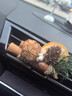 齊選車(chē)載香薰創(chuàng  )意植物干花車(chē)內飾品擺件汽車(chē)空調出風(fēng)口裝飾高級感女生 【富桂+橙花+松山】3個(gè)裝 曬單實(shí)拍圖