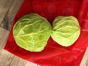 圓白菜約1.5kg（綠甘藍） 曬單實(shí)拍圖
