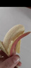 橙小士福建土樓紅美人香蕉紅蕉banana新鮮時(shí)令孕婦水果現砍自然熟 3斤 【出口級】高品質(zhì)美人蕉 曬單實(shí)拍圖