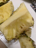 正宗海南金鉆鳳梨新鮮水果當季樹(shù)上熟芒果鳳梨【催熟食用】 1粒裝單果500g-650g【7成熟，催熟再吃】 曬單實(shí)拍圖