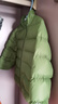 齊齊熊（ciciibear）【三防】寶寶輕薄羽絨服男童秋冬新款保暖外穿兒童外套 芥末綠 100 【充絨量46g，97-105CM】 曬單實(shí)拍圖