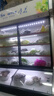 雪花點(diǎn)菜柜雙溫三溫商用展示柜麻辣燙冷藏冰柜保鮮蔬菜水果涼菜陳列柜 冷凍燒烤麻辣燙串串 1.4米雙溫款【上冷藏+下冷凍】東貝雙壓縮機 曬單實(shí)拍圖